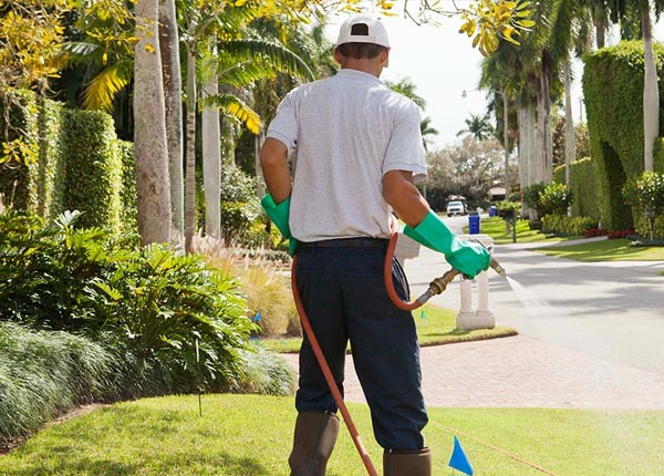 About North Canton CT Pest Control